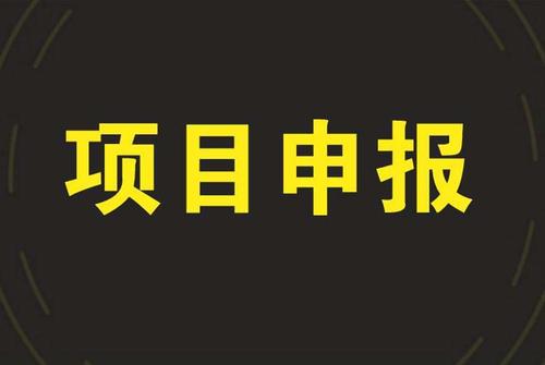 2021年成都市技術(shù)創(chuàng)新項目入庫申報時間及條件
