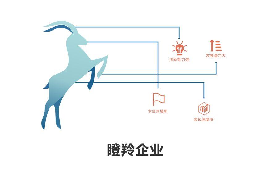 成都高新區(qū)瞪羚企業(yè)認(rèn)定審計